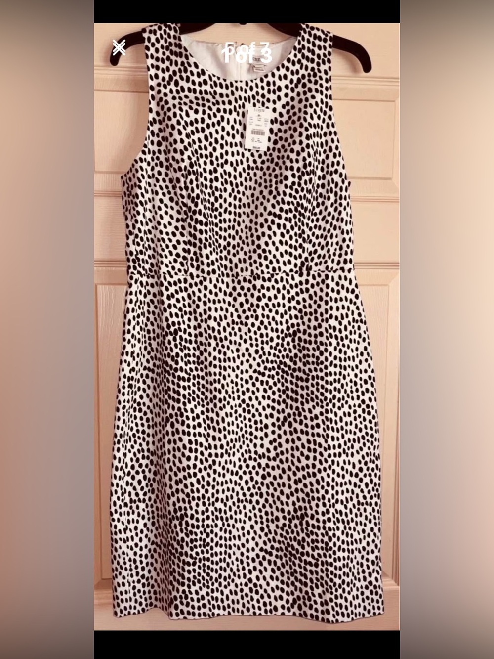 J. Crew Black and White Dalmatian Print Sleeveless Dress